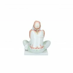 Besorgen 👏 Meissen Schneider Wibbel 👏 -Wendt & Kühn Shop 20157401 20157401 2