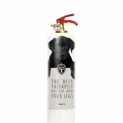 Auslauf ✨ Safe-T Feuerlöscher 🐶 Dogs 🥰